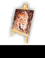 /album/fotogaleria-insumos-materia-prima-1/imagen14-png1/